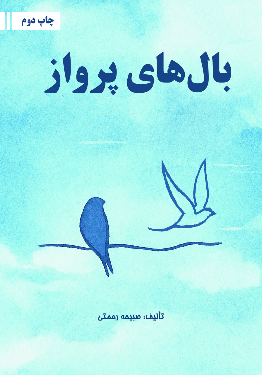 بال های پرواز