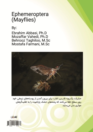 یک روزه ها(Ephemeroptera Mayflies)