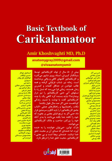 کتاب جامع کاریکلماتور